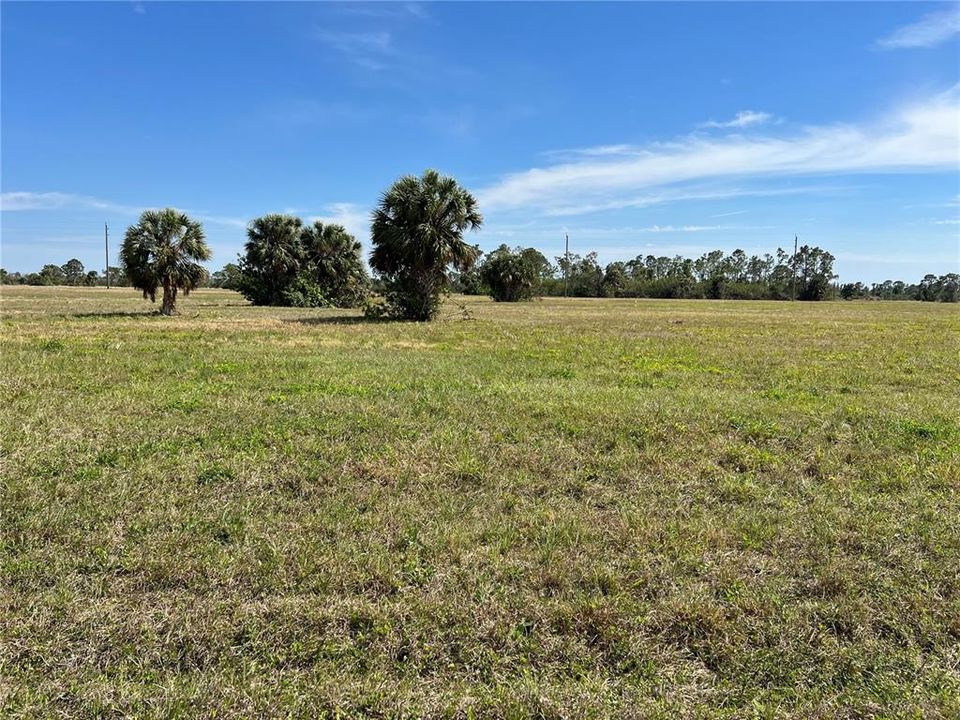For Sale: $19,500 (0.17 acres)
