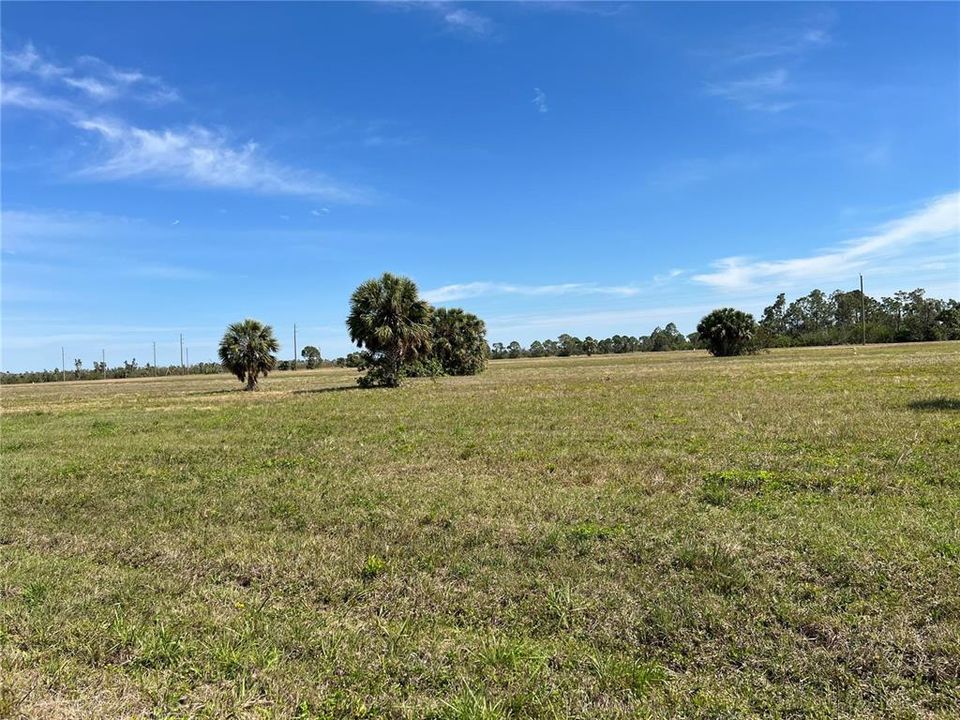 For Sale: $19,500 (0.17 acres)