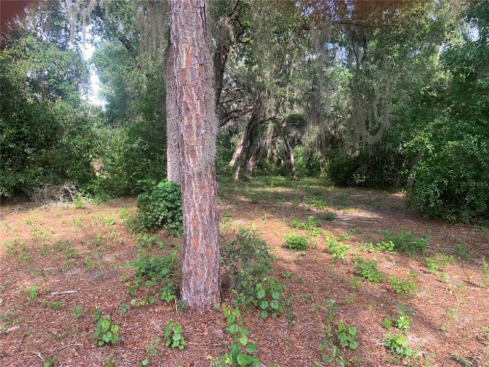 For Sale: $199,000 (5.81 acres)