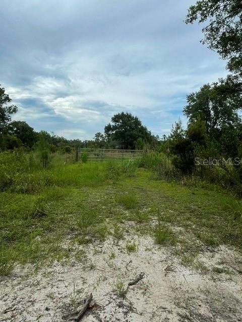 For Sale: $350,000 (9.00 acres)