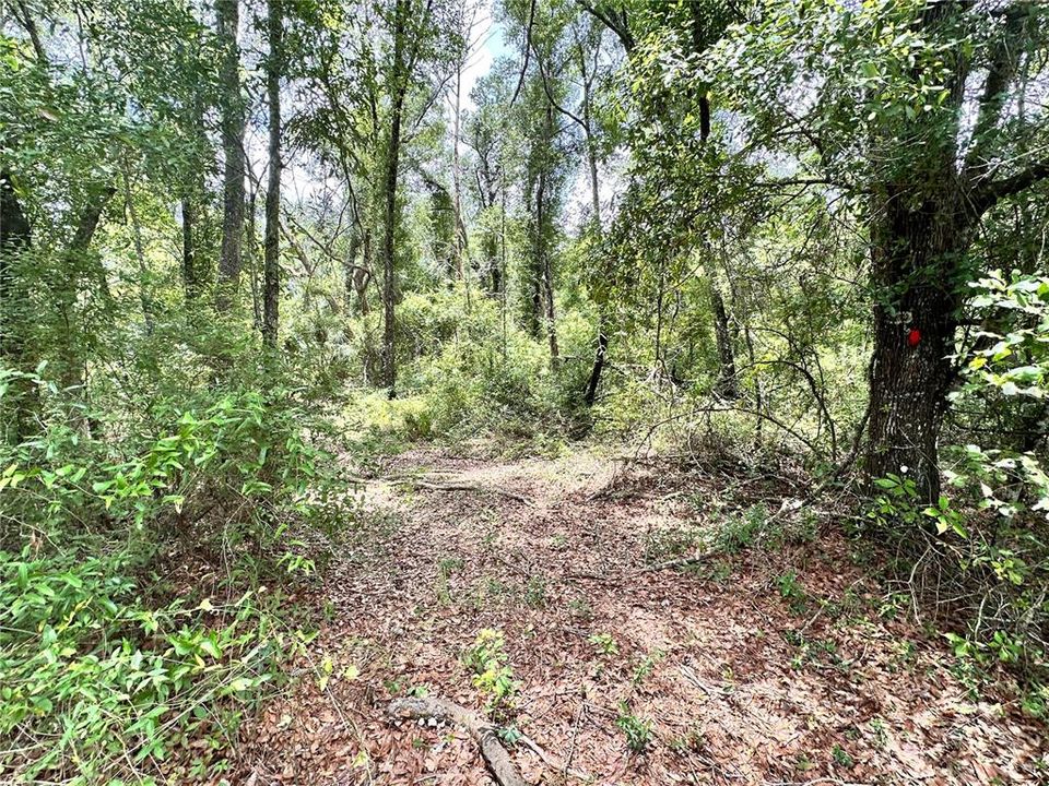 For Sale: $24,900 (1.21 acres)