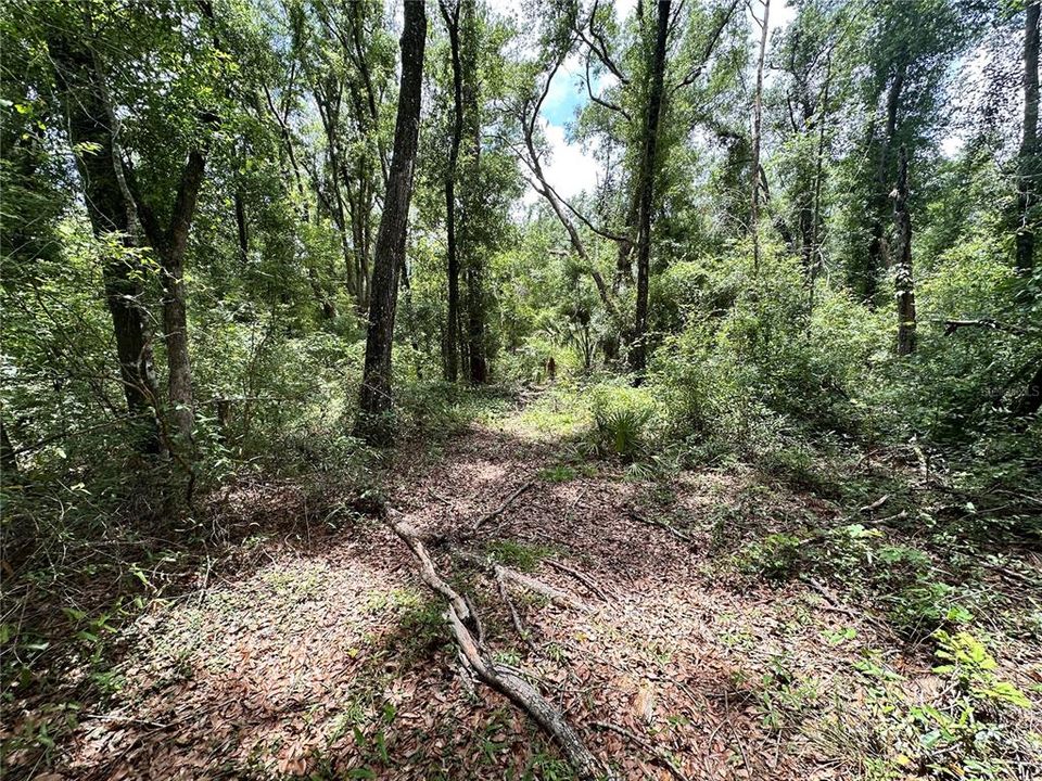 For Sale: $24,900 (1.21 acres)