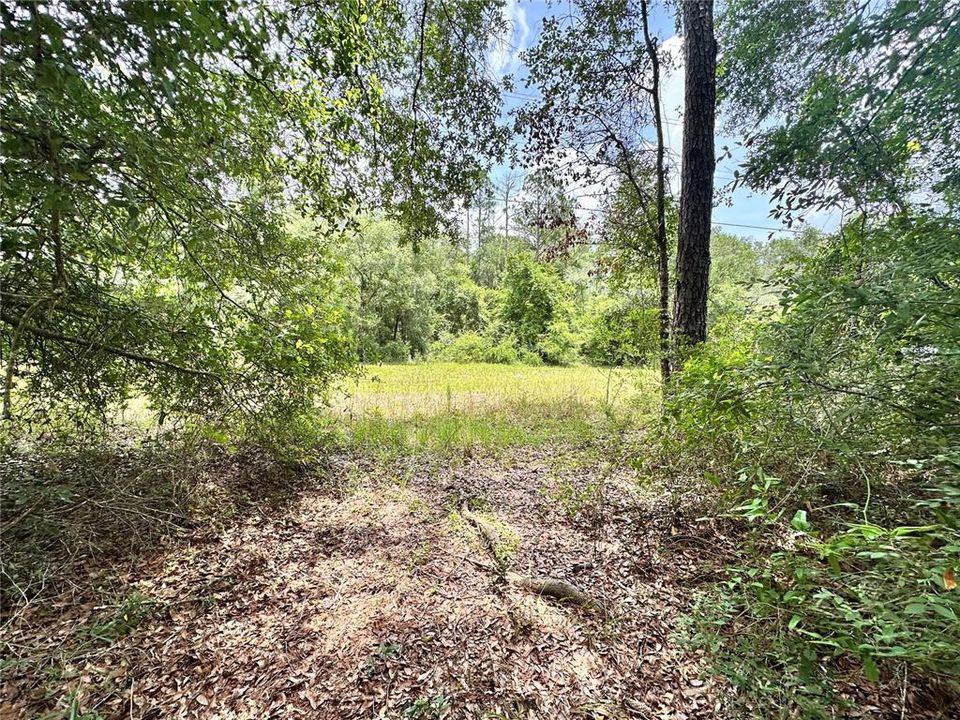 For Sale: $24,900 (1.21 acres)