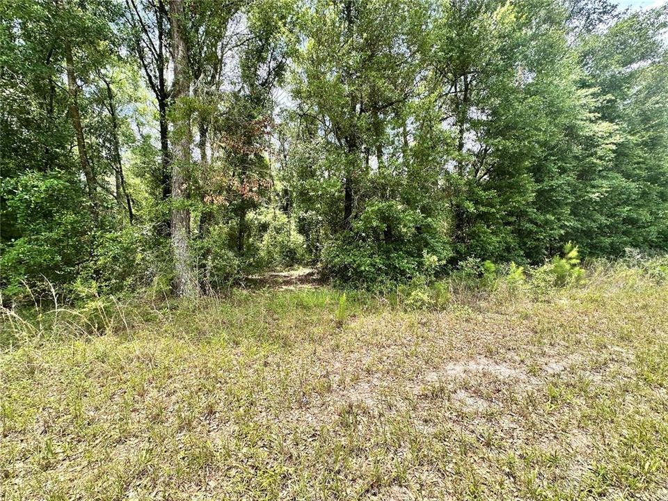 For Sale: $24,900 (1.21 acres)