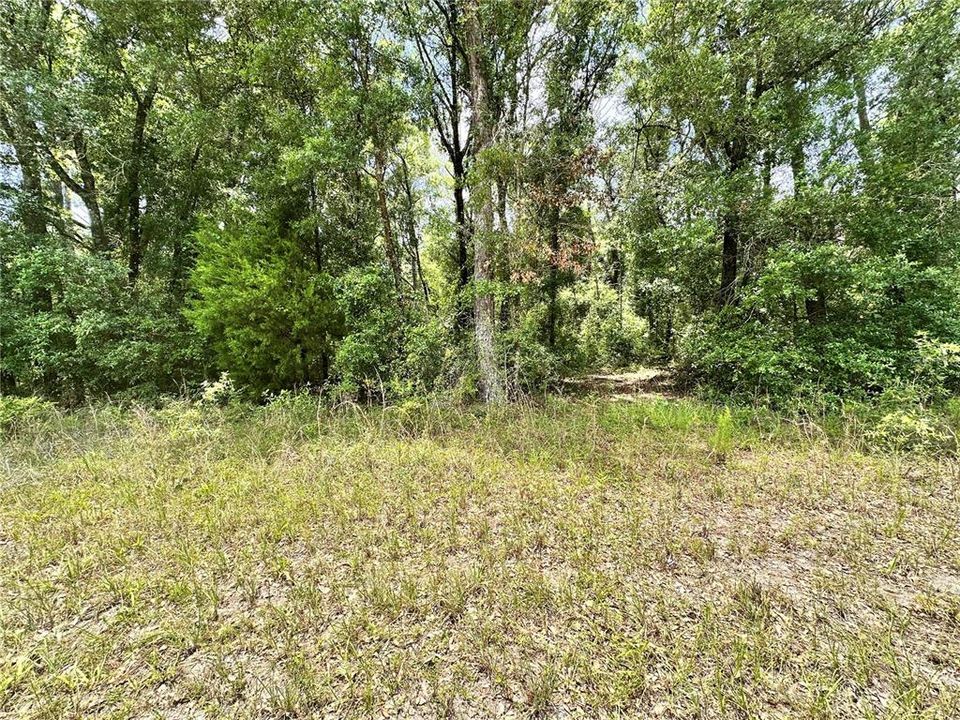 For Sale: $24,900 (1.21 acres)
