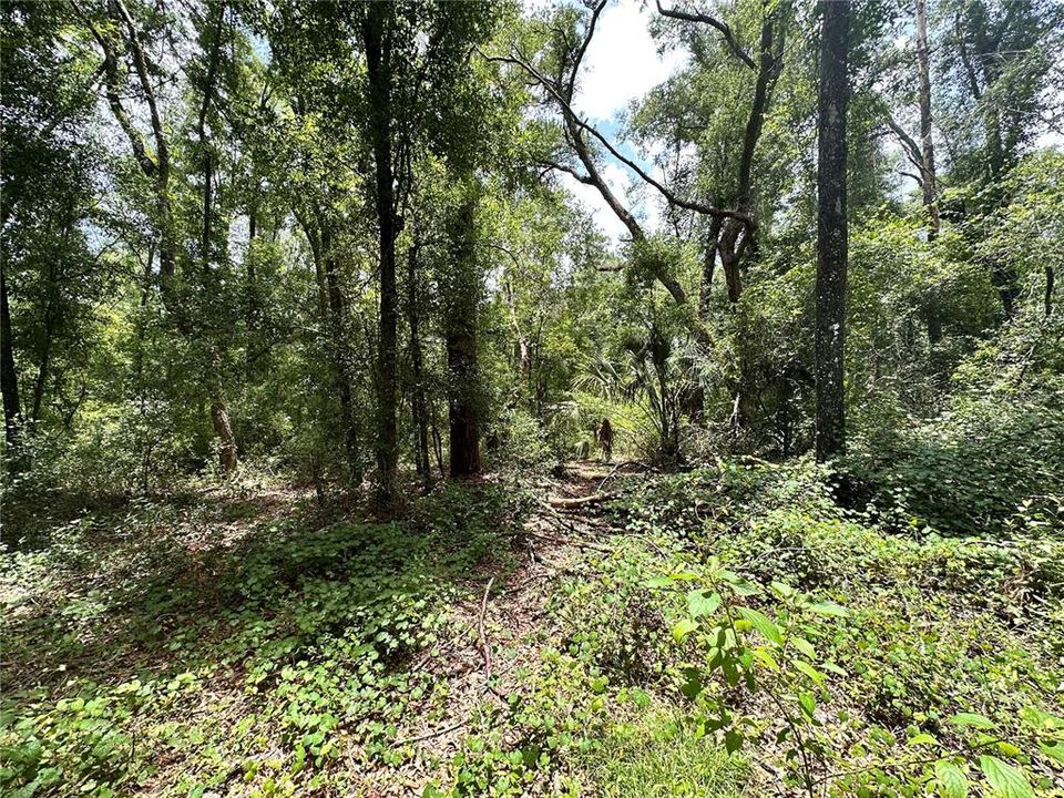 For Sale: $24,900 (1.21 acres)