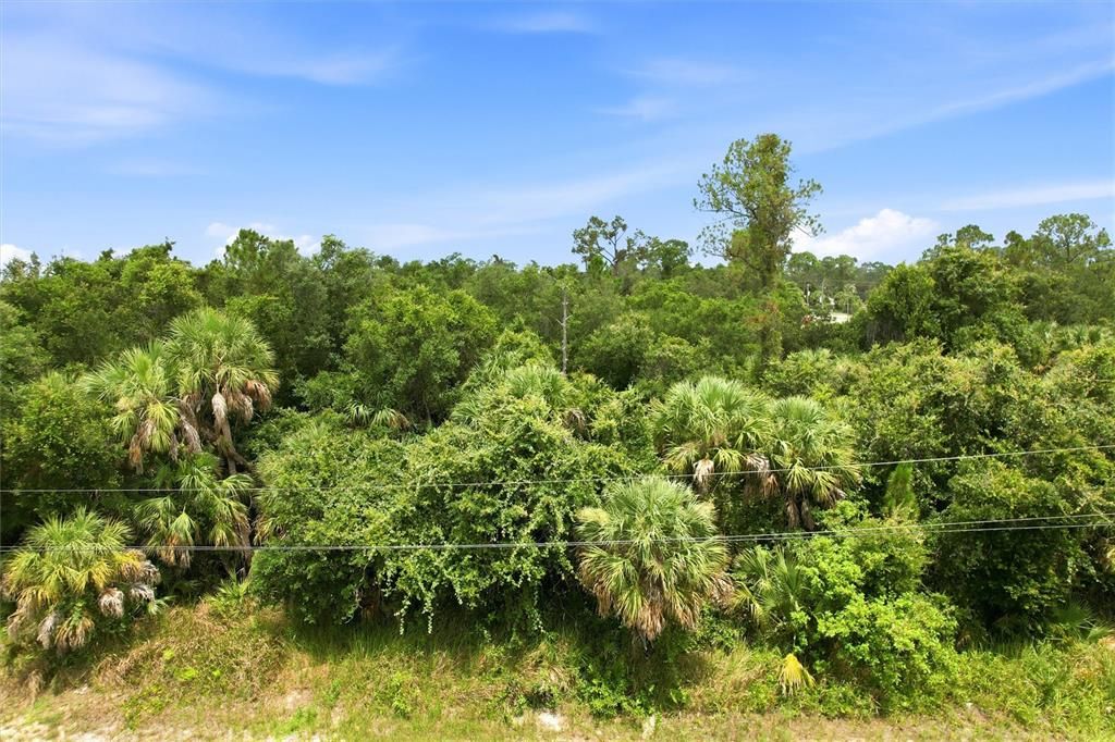 For Sale: $23,000 (0.23 acres)