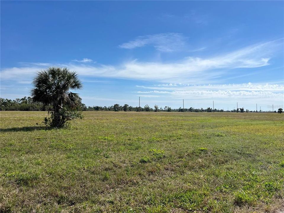 For Sale: $19,500 (0.17 acres)