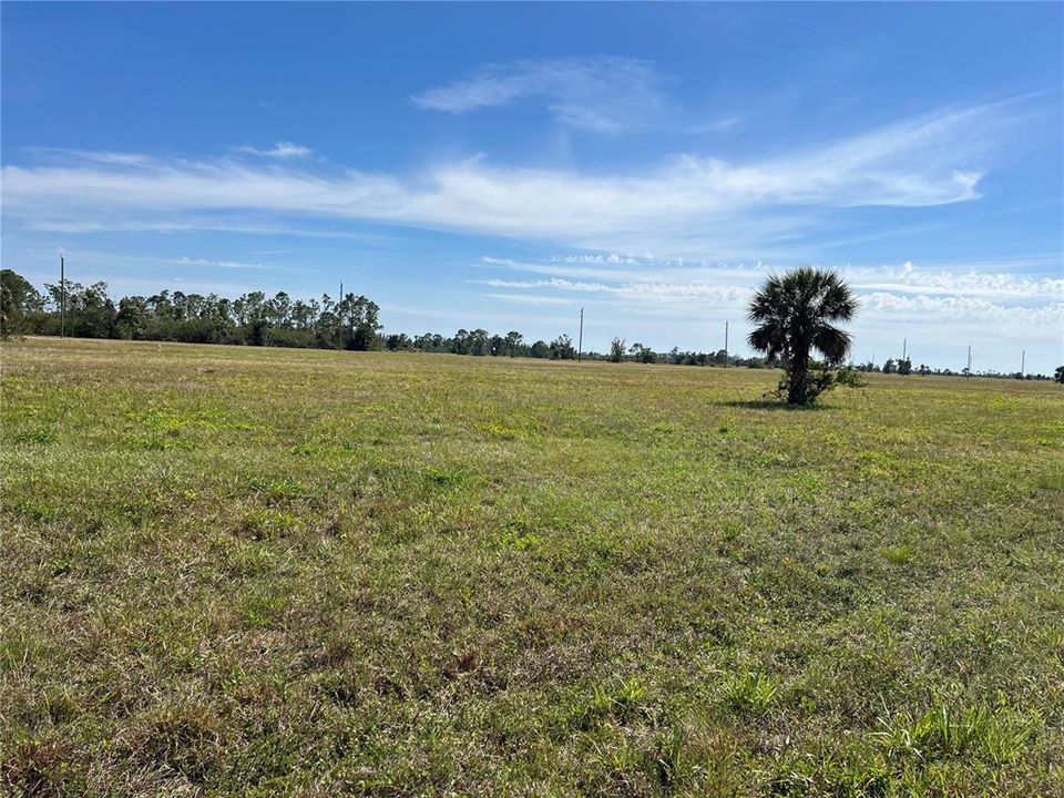 For Sale: $19,500 (0.17 acres)