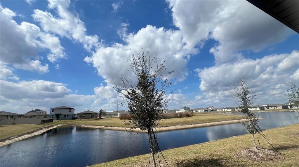For Rent: $2,100 (4 beds, 2 baths, 1610 Square Feet)