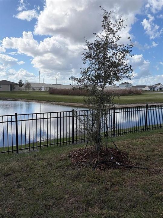 For Rent: $2,100 (4 beds, 2 baths, 1610 Square Feet)