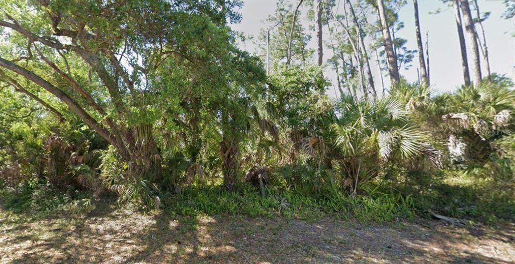 En Venta: $45,000 (0.46 acres)