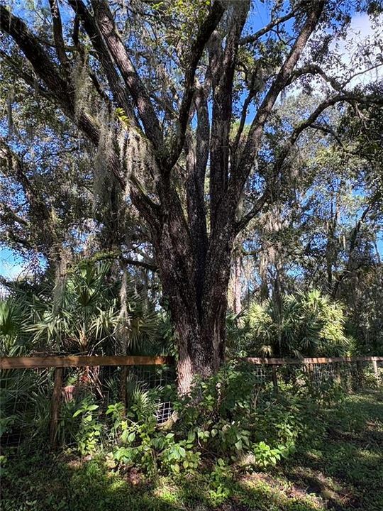 En Venta: $725,000 (5.00 acres)