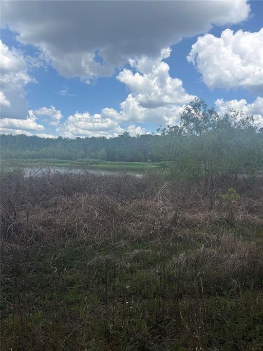 На продажу: $399,000 (16.60 acres)