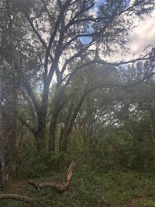 На продажу: $399,000 (16.60 acres)