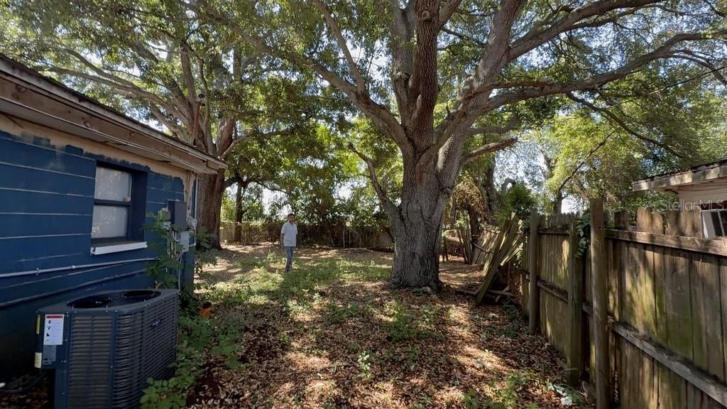 For Sale: $249,900 (3 beds, 1 baths, 1236 Square Feet)