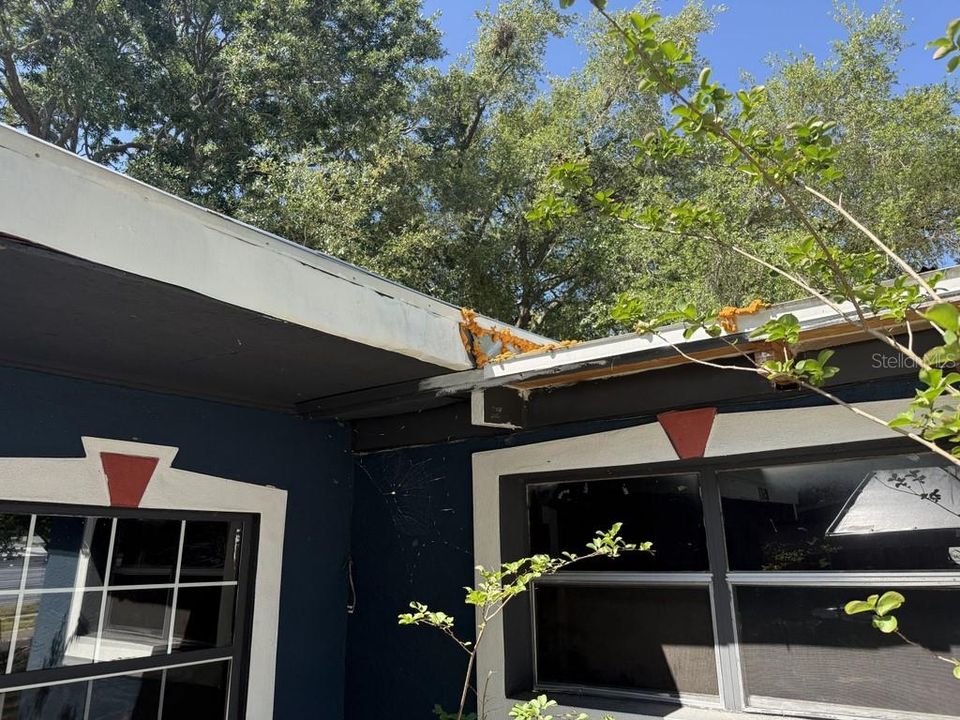 For Sale: $249,900 (3 beds, 1 baths, 1236 Square Feet)