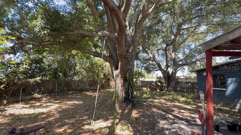 For Sale: $249,900 (3 beds, 1 baths, 1236 Square Feet)