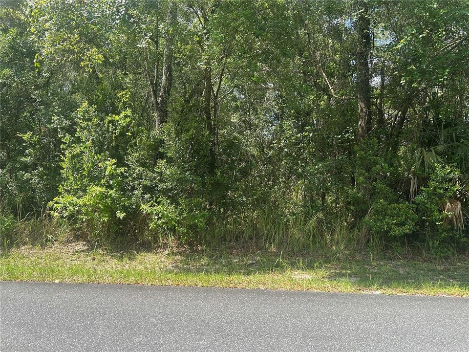For Sale: $50,000 (0.55 acres)