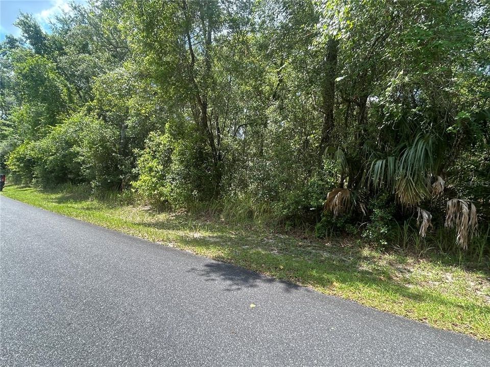 For Sale: $50,000 (0.55 acres)