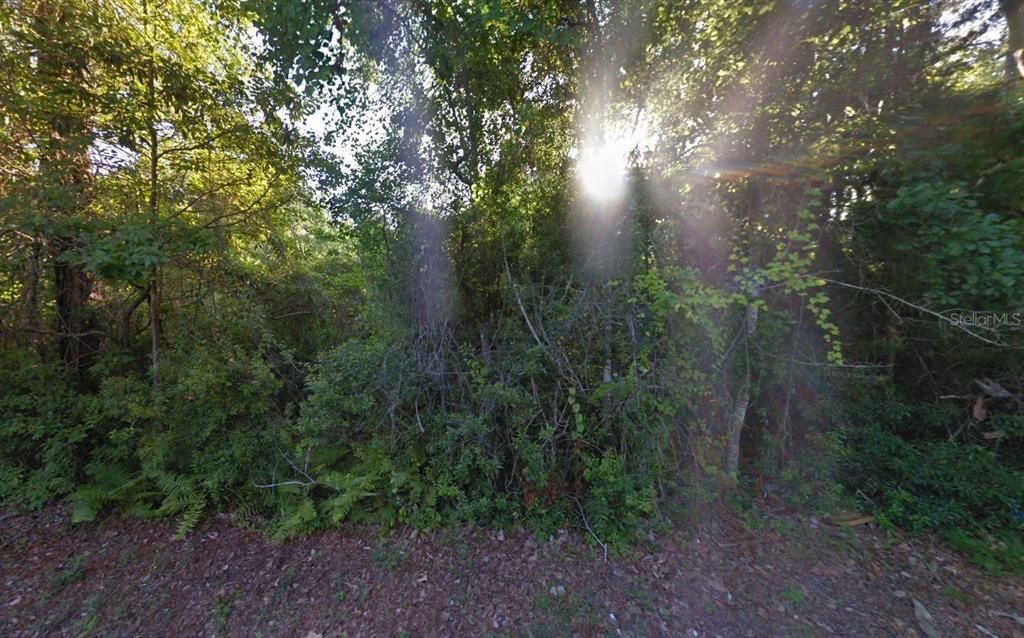 For Sale: $49,999 (0.52 acres)