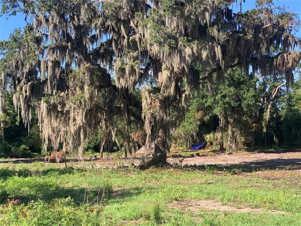 For Sale: $79,999 (0.83 acres)