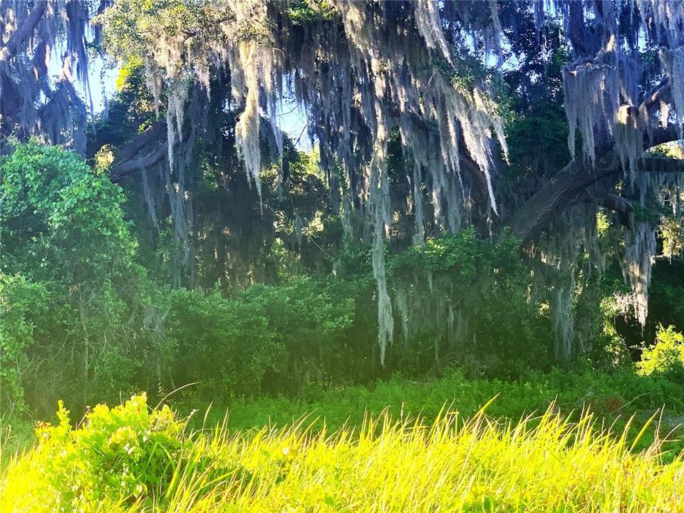For Sale: $79,999 (0.83 acres)