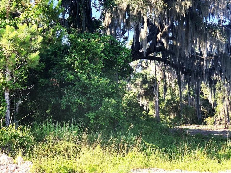 For Sale: $79,999 (0.83 acres)
