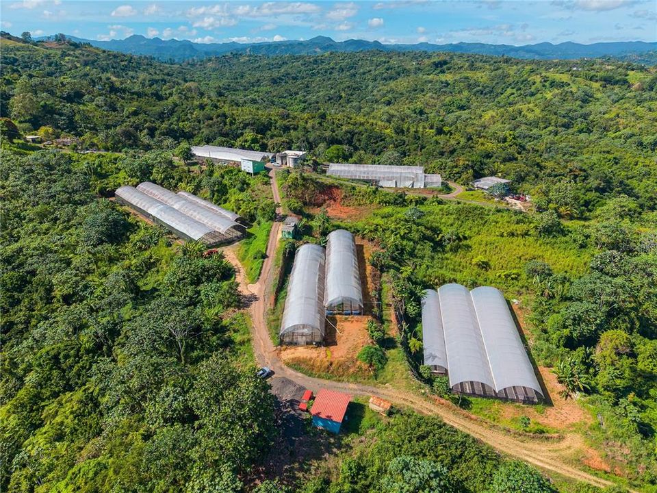 For Sale: $1,600,000 (38.00 acres)