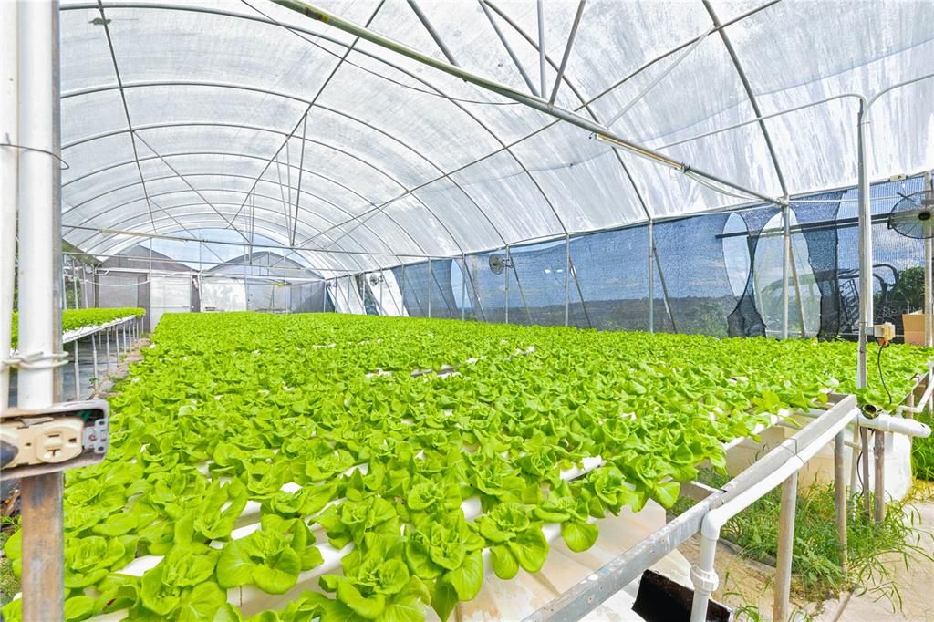 For Sale: $1,600,000 (38.00 acres)