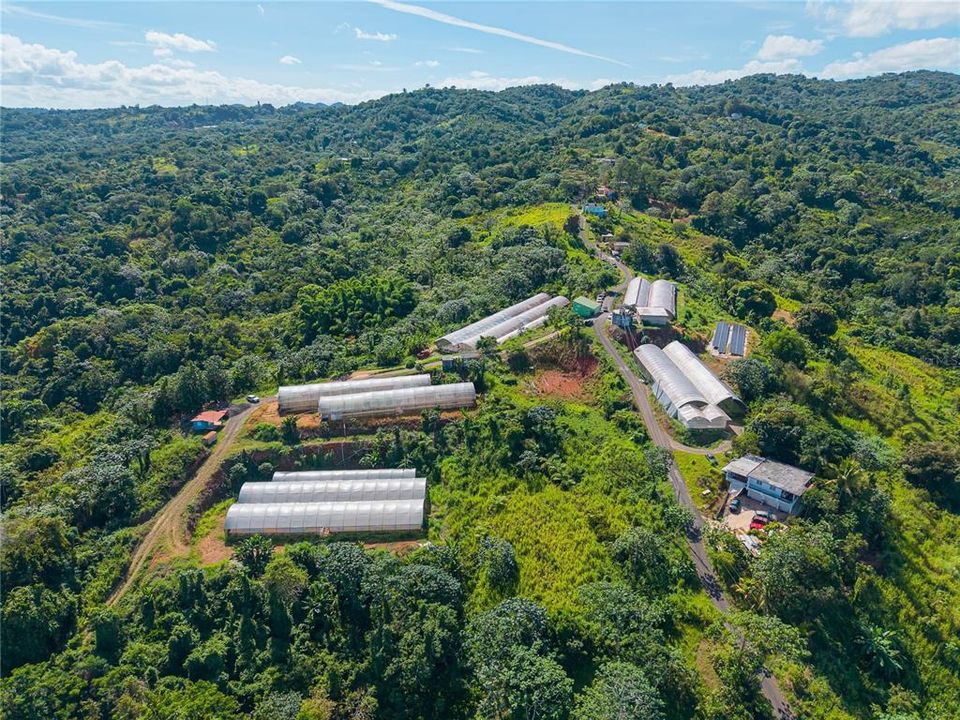 For Sale: $1,600,000 (38.00 acres)
