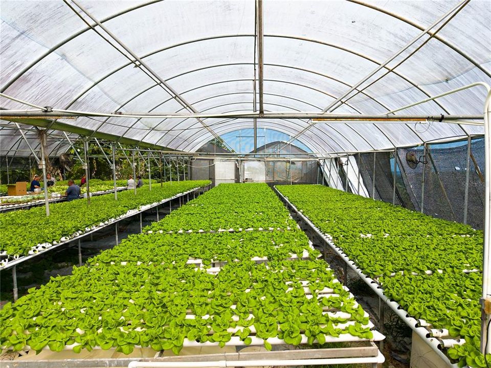 For Sale: $1,600,000 (38.00 acres)