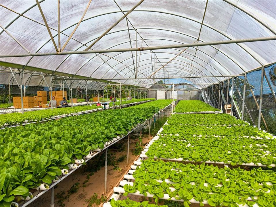 For Sale: $1,600,000 (38.00 acres)