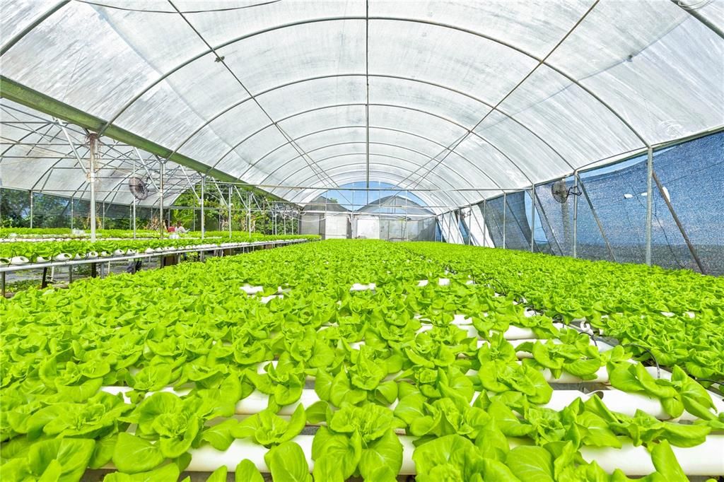 For Sale: $1,600,000 (38.00 acres)