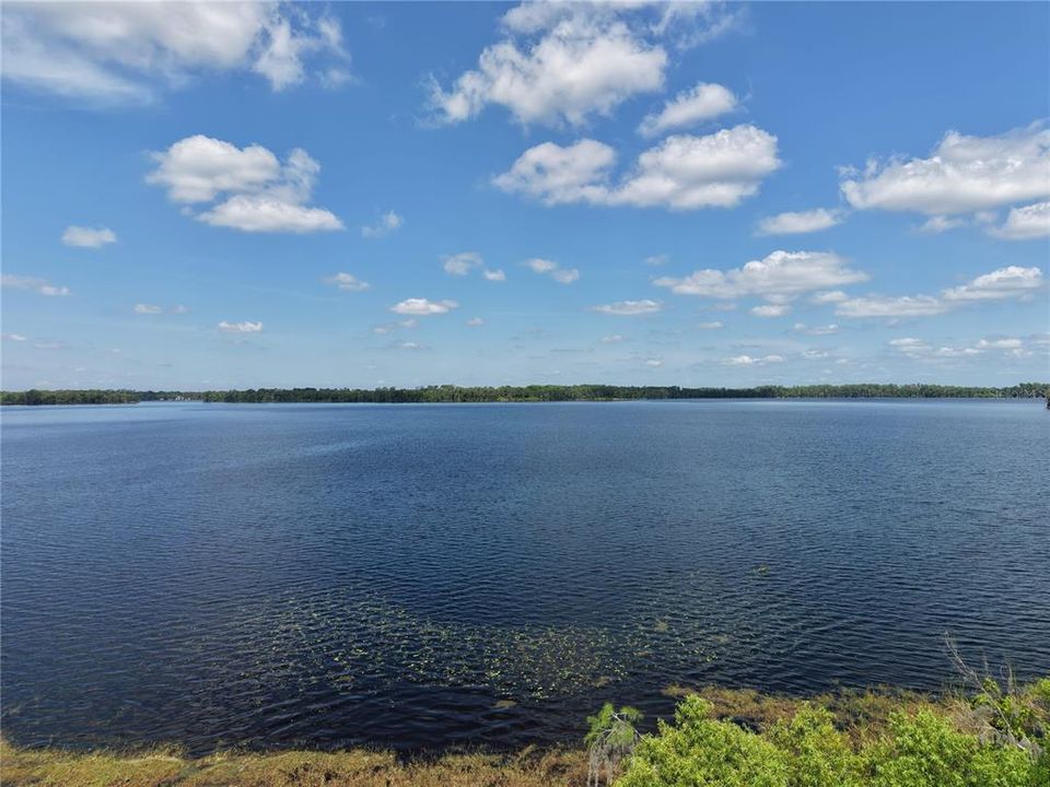 For Sale: $3,499,000 (6.07 acres)