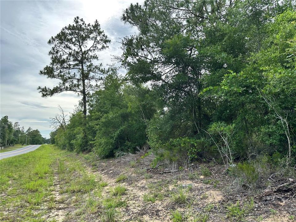 For Sale: $35,000 (1.25 acres)
