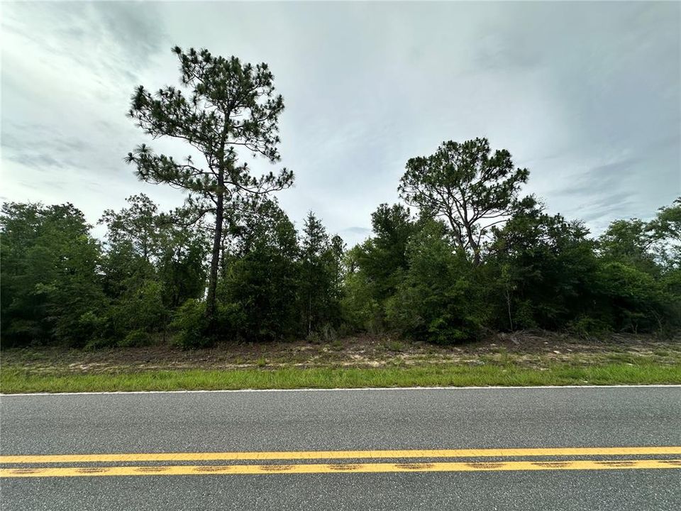 For Sale: $35,000 (1.25 acres)