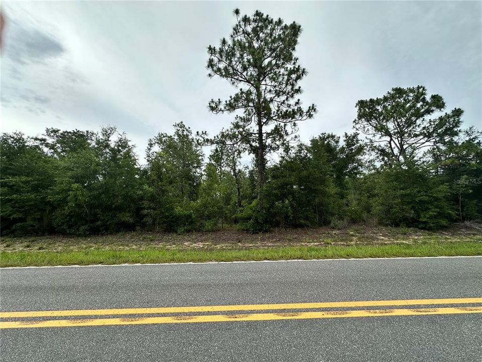 For Sale: $35,000 (1.25 acres)