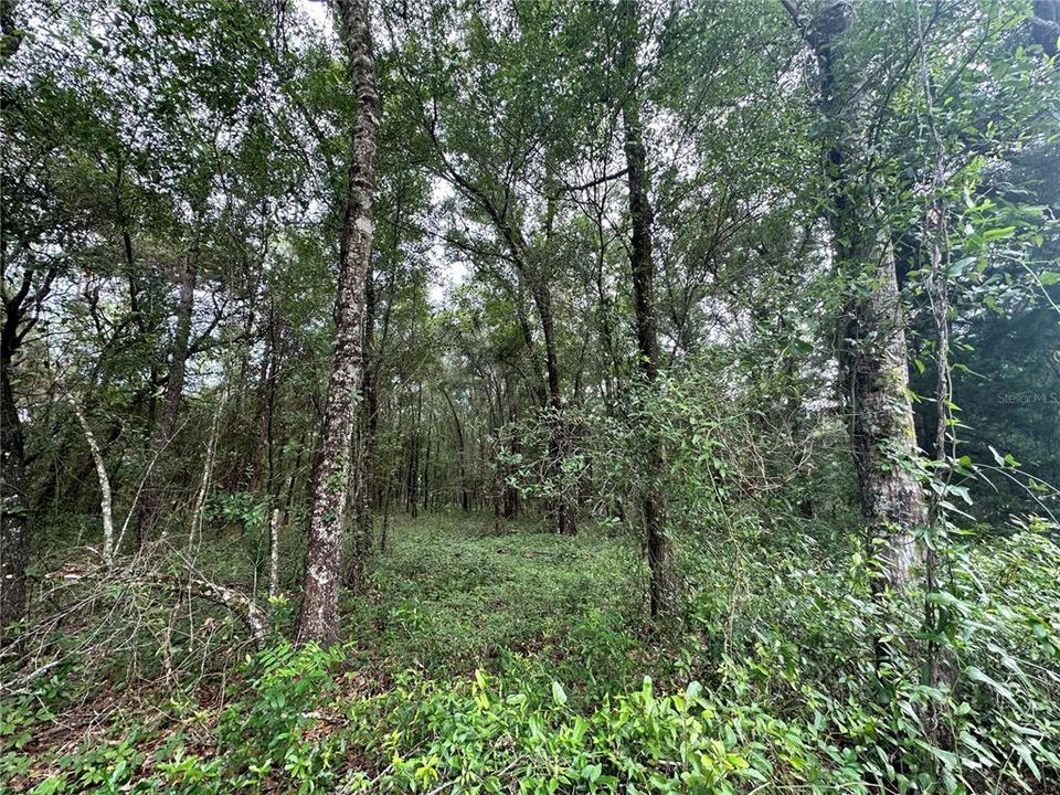 For Sale: $44,000 (1.27 acres)