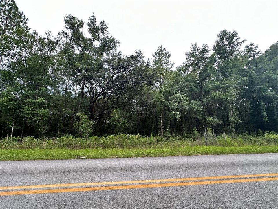 For Sale: $44,000 (1.27 acres)