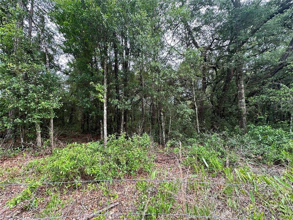 For Sale: $44,000 (1.27 acres)