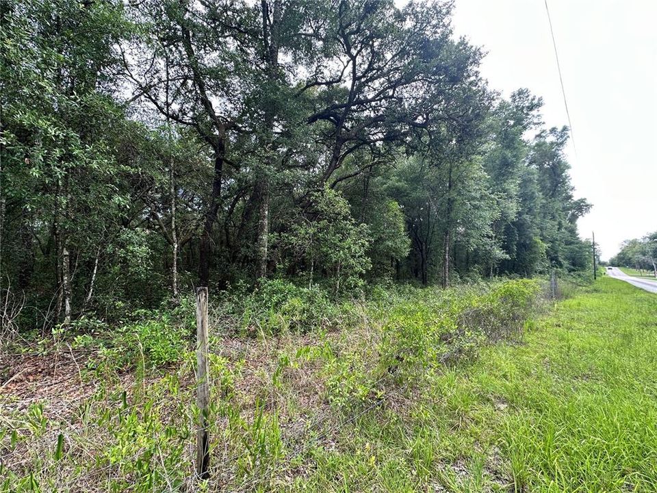 For Sale: $44,000 (1.27 acres)