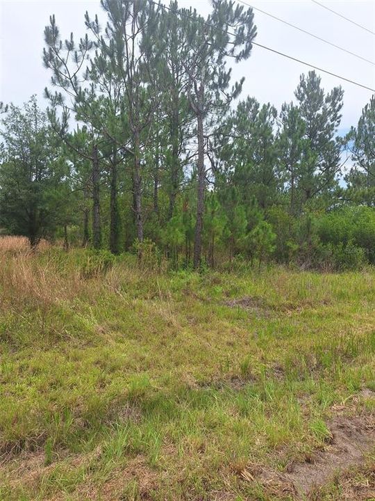 На продажу: $55,000 (15.32 acres)