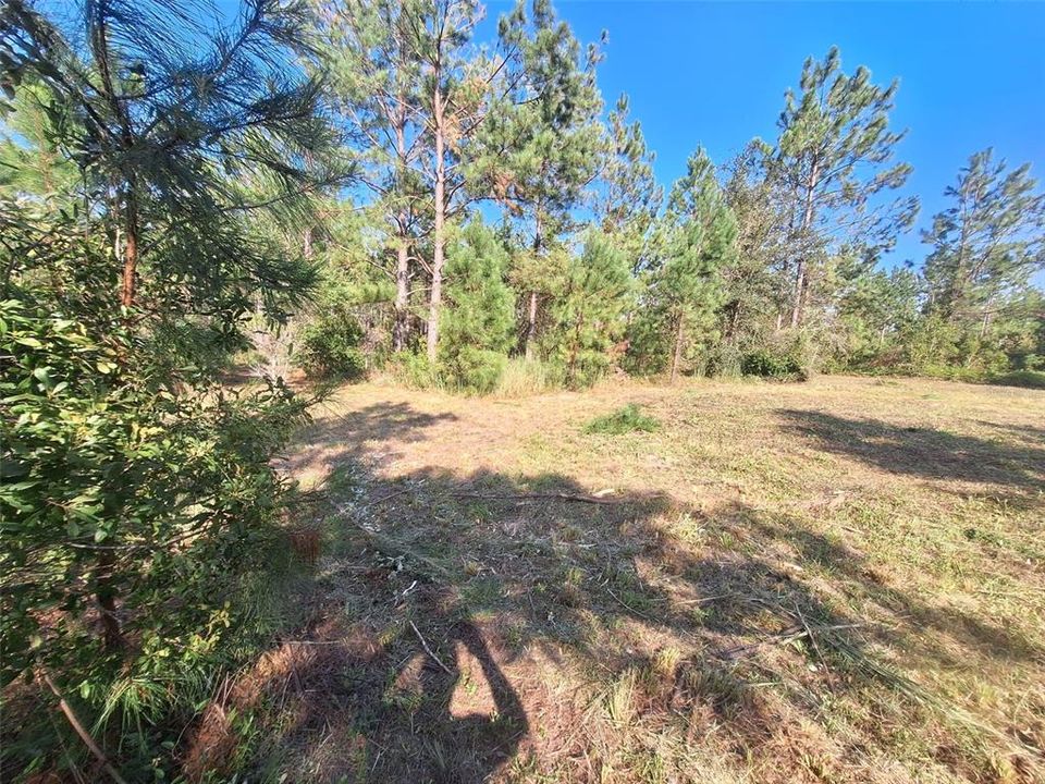 На продажу: $55,000 (15.32 acres)