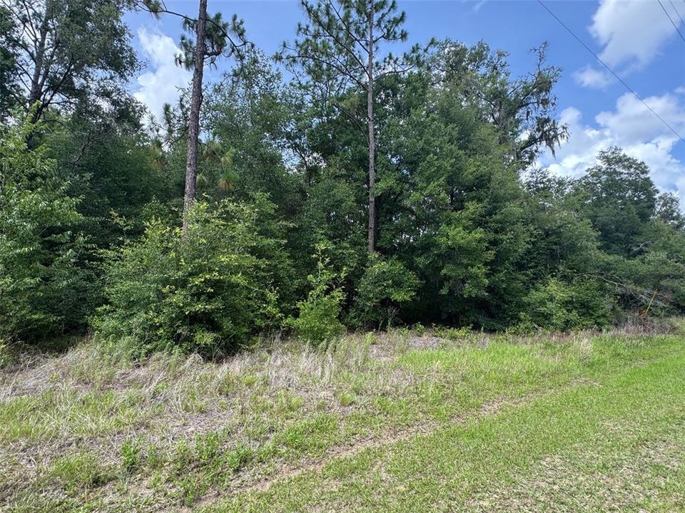 For Sale: $33,000 (0.90 acres)