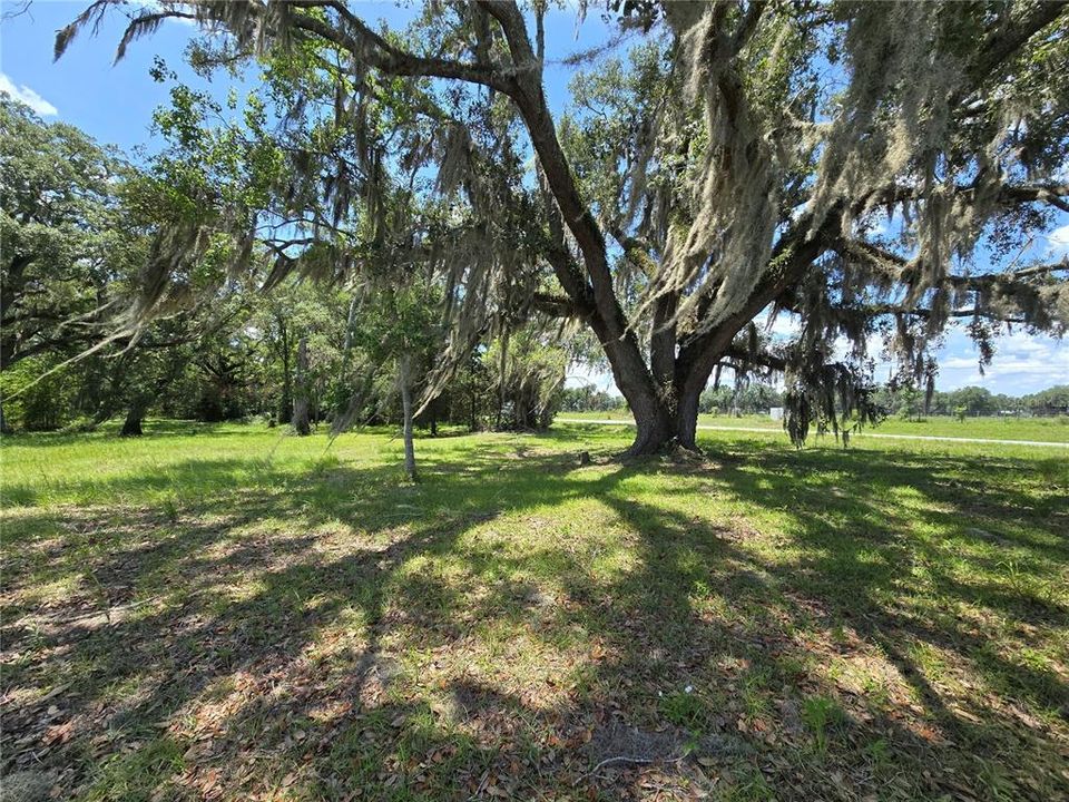 На продажу: $69,500 (5.01 acres)