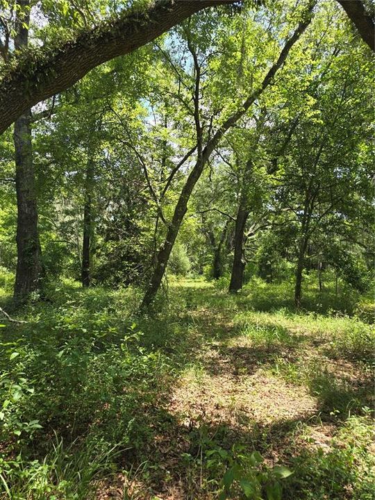 На продажу: $69,500 (5.01 acres)