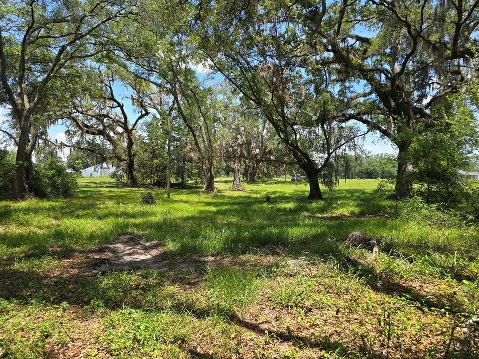 На продажу: $69,500 (5.01 acres)
