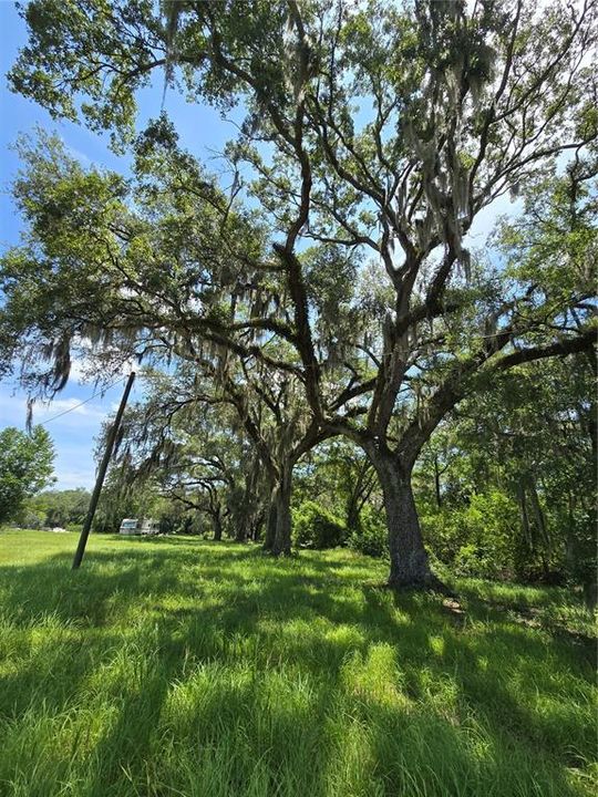 На продажу: $69,500 (5.01 acres)