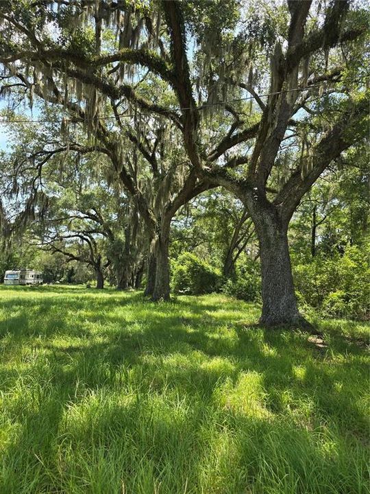 На продажу: $69,500 (5.01 acres)